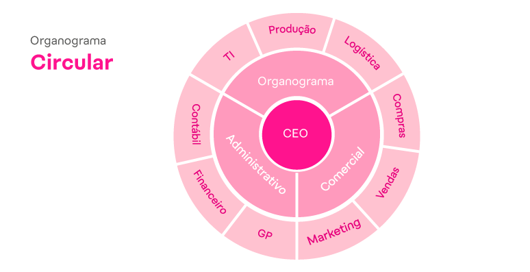 Organograma empresarial circular